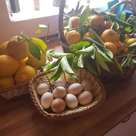 度假居 Finca Rural Torres Casas 1 Y 4